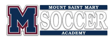 Sport Window Cling